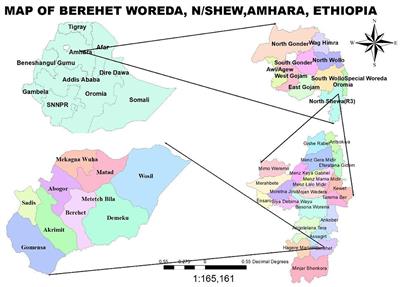 Measles outbreak investigation in Berhet District, North Shewa, Ethiopia